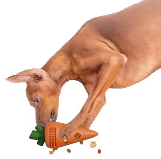 203.png